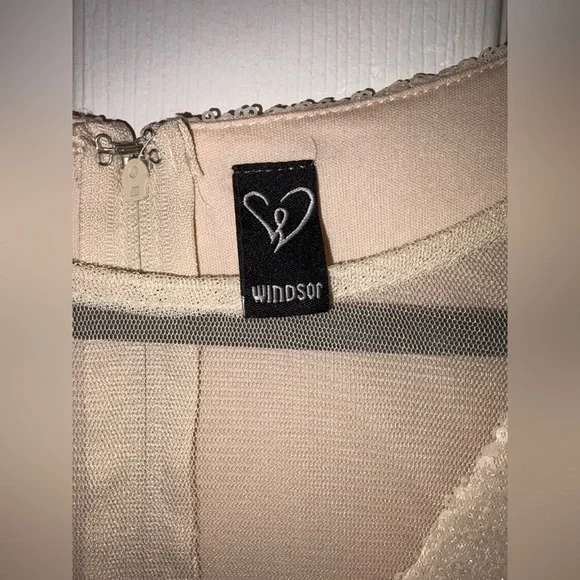 Windsor Shiny sequin maxi dress champagne low cut gown - Picture 3 of 7